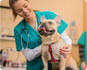 Oportunidades de emprego